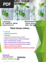 Plant Tissue Culture Techniques Explained | PDF | Growth Medium | Nutrients