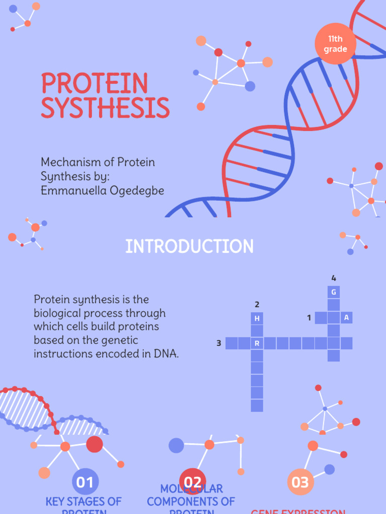 PROTEIN SYNTHESIS BIOLOGY PRESENTATION | PDF | Translation (Biology) | Rna