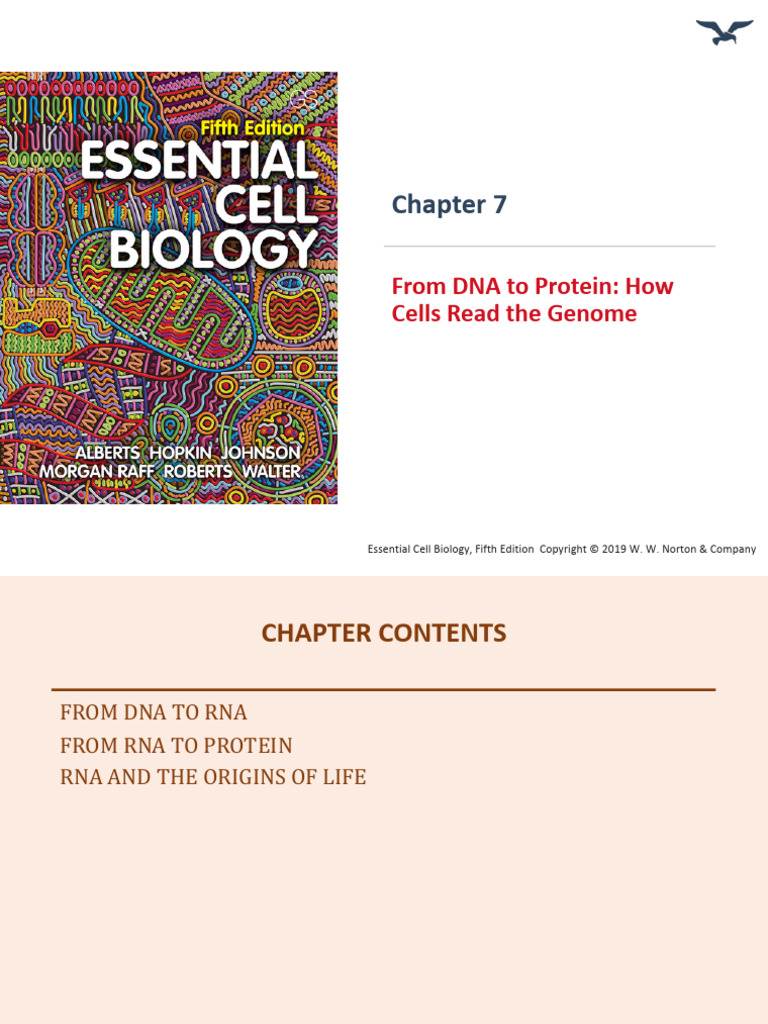 Ac-Escellbio5 Lectureppt Ch07 | PDF | Translation (Biology) | Messenger Rna