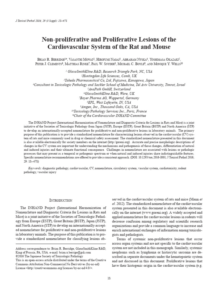 Cardiovascular System | PDF | Cardiac Muscle | Heart Valve