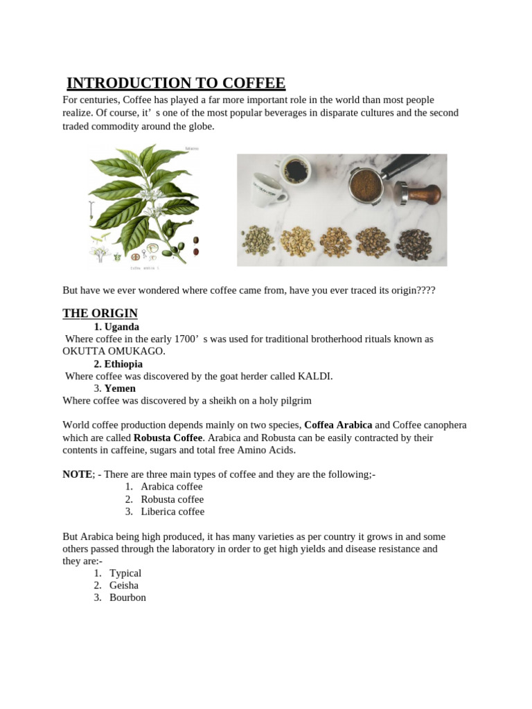 Introduction to Coffee Production | PDF | Coffee | Drink