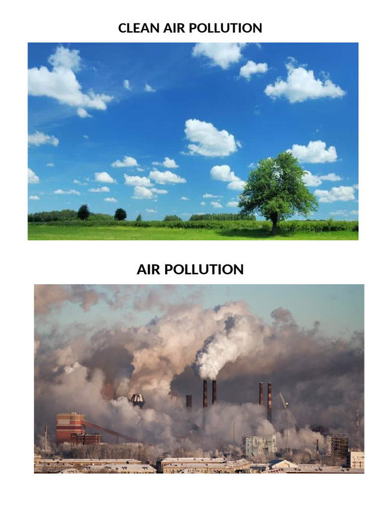 Air Pollution Causes for Kids | PDF