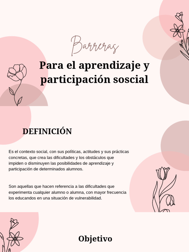 Barreras para El Aprendizaje y La Participación Social | PDF | Plan de ...