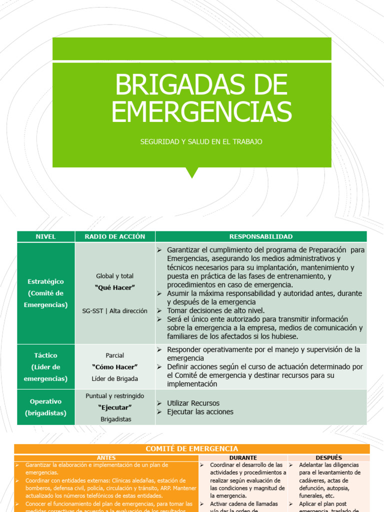 Plan de Emergencias y Brigadas de Rescate | PDF | Seguridad y salud ...