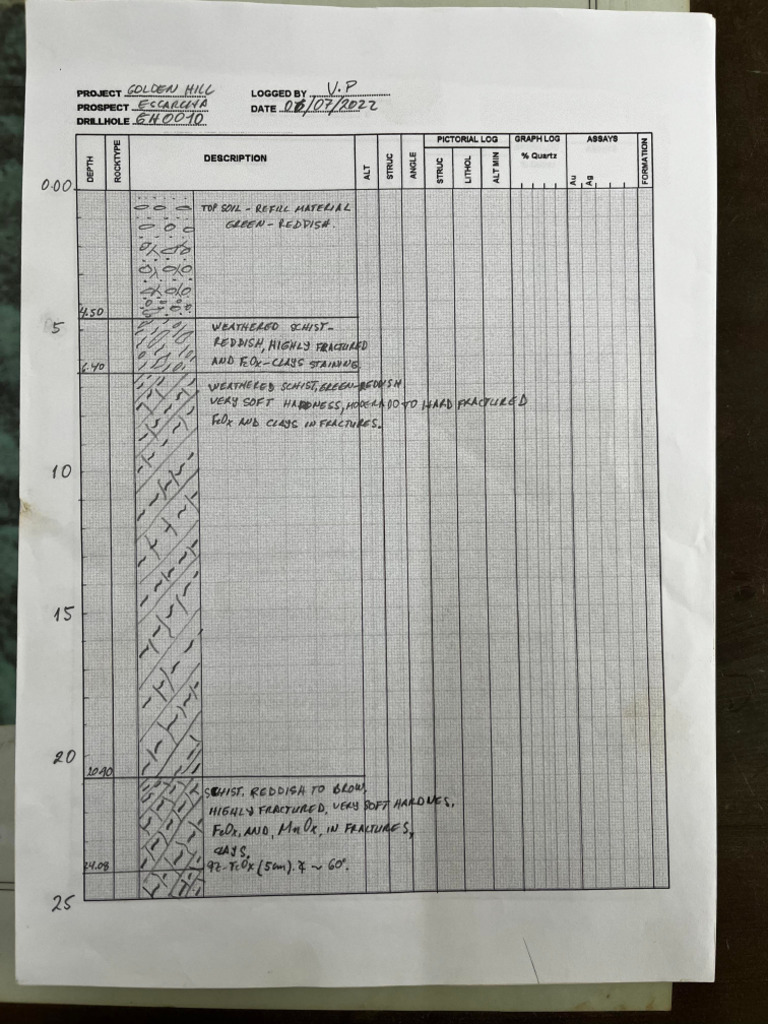 GH0010 - Quick Log | PDF