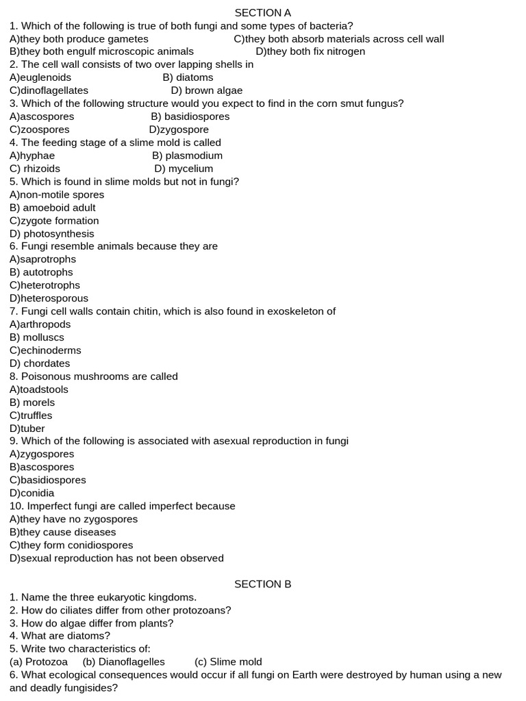 Class 11 Biology Chapter 7 Overview | PDF | Fungus | Spore