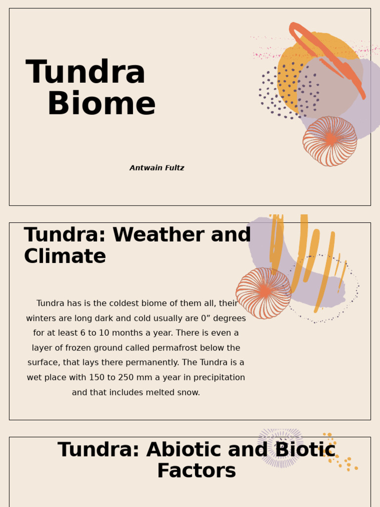 Abiotic Factors in the Tundra Biome | PDF | Arctic | Ecosystem