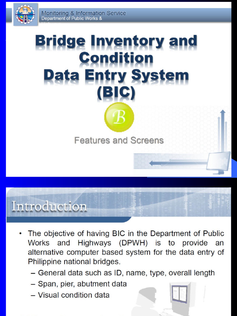BIC Presentation | PDF