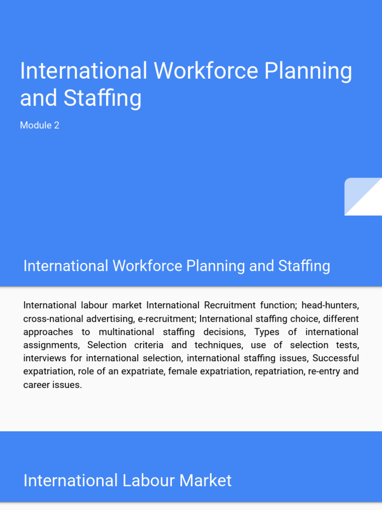 International Workforce Planning Strategies | PDF | Labour Economics ...