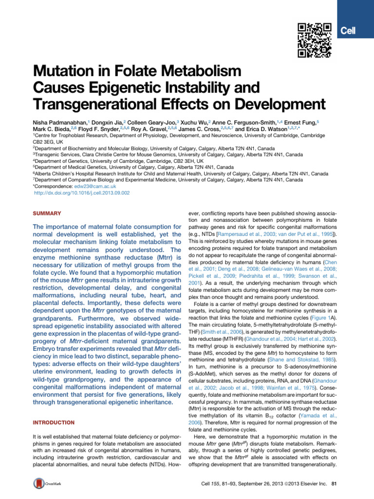 YH 2013 Cell Folate Metabolism For Development | PDF | Genetics | Biology