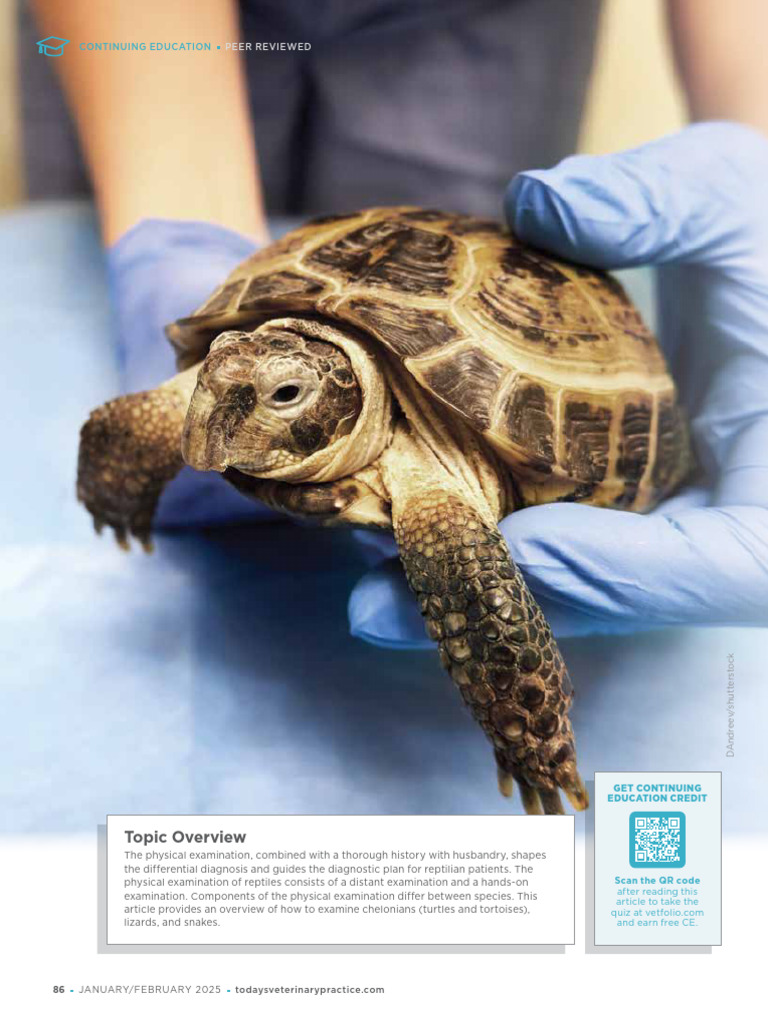 Reptile Physical Exam-1 | PDF | Reptile | Turtle
