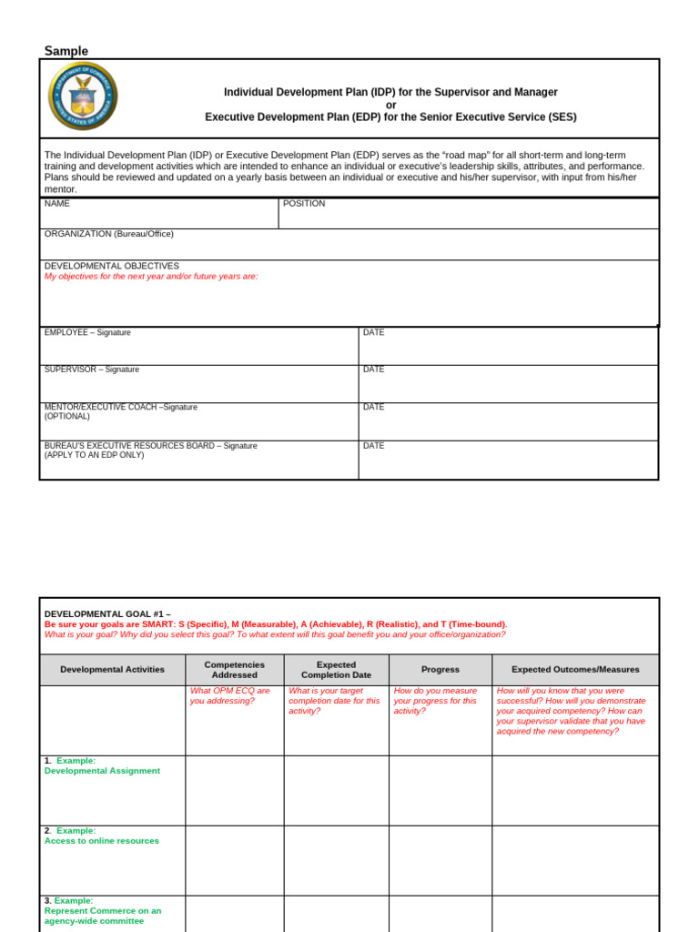 IDP or EDP Sample - 1 | PDF | Mentorship | Psychology