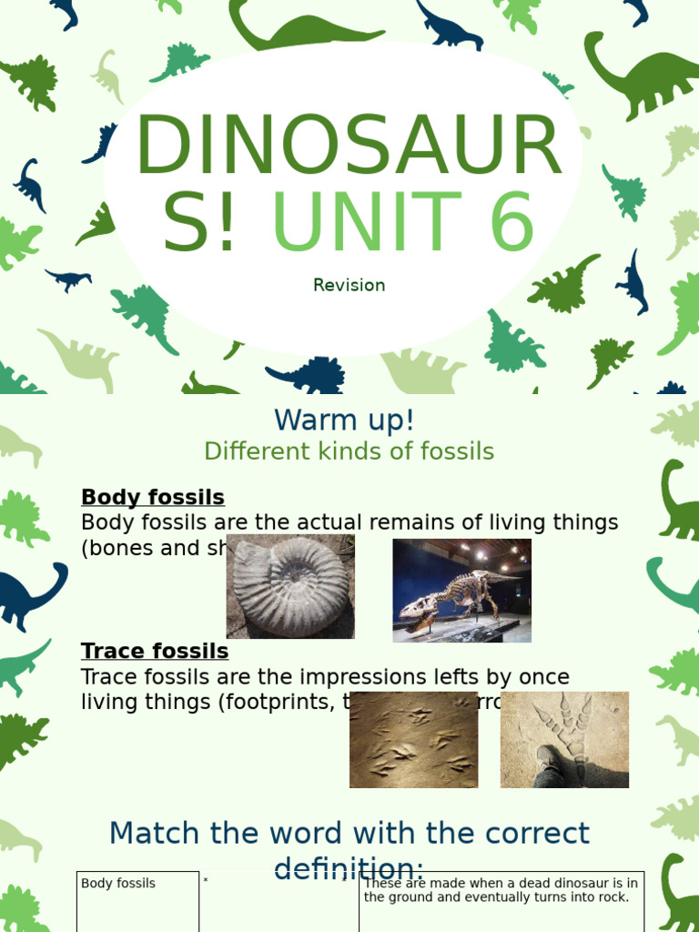 Unit 6 Review Part 2 | PDF