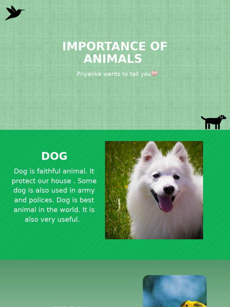 Importance of Animals Explained | PDF