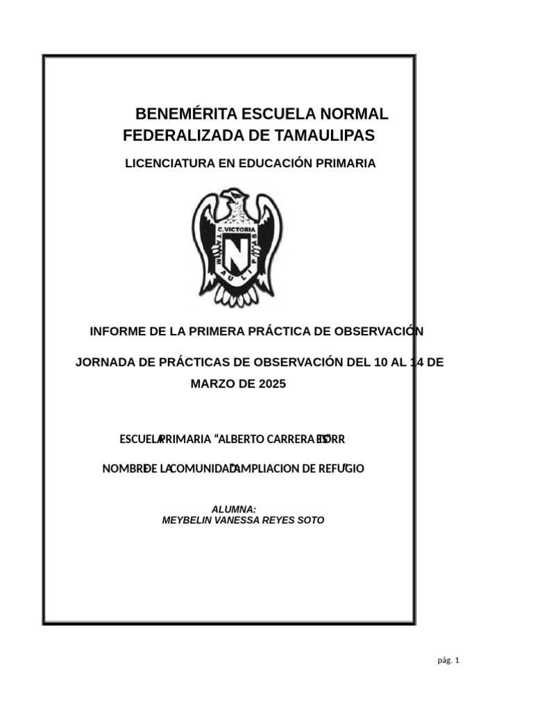 Informe de Practica 2025 | PDF | Enseñando | Aprendizaje