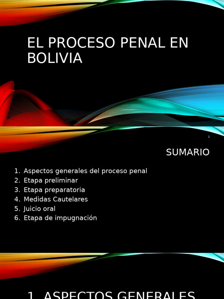 Etapas del Proceso Penal en Bolivia | PDF | Debido al proceso ...