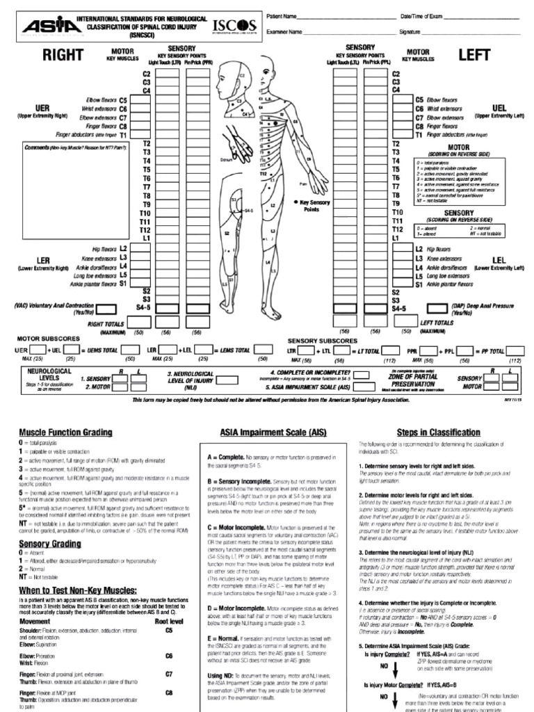Neurological Classification Guide | PDF | Joints | Limbs (Anatomy)