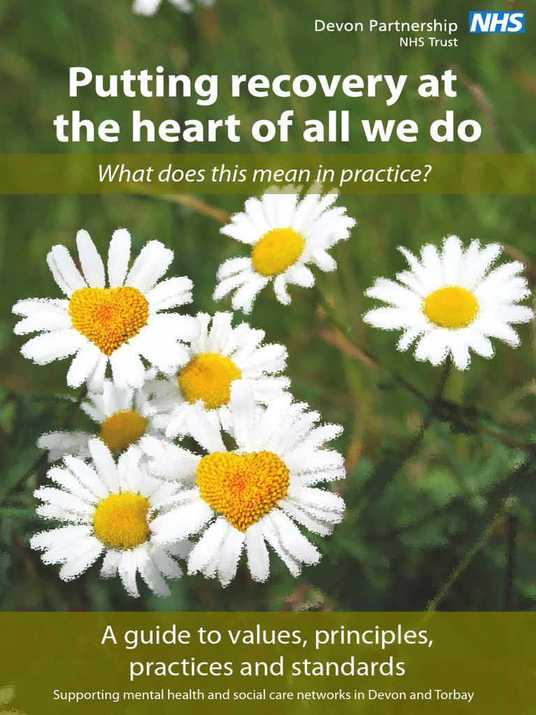 Recovery Principles in Mental Health Care | PDF | Mental Health ...
