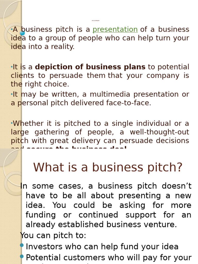 Understanding Business Pitches Explained | PDF | Marketing | Business