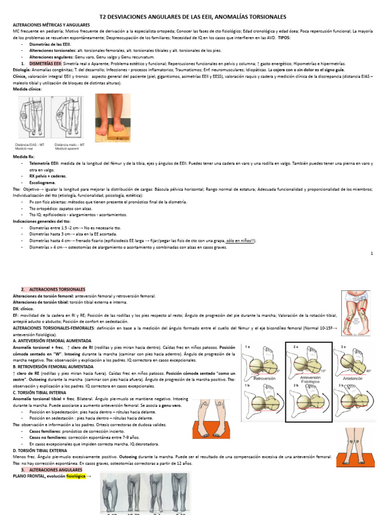t2 Desviaciones Angulares de Eeii, Anomalías Torsionales | PDF ...