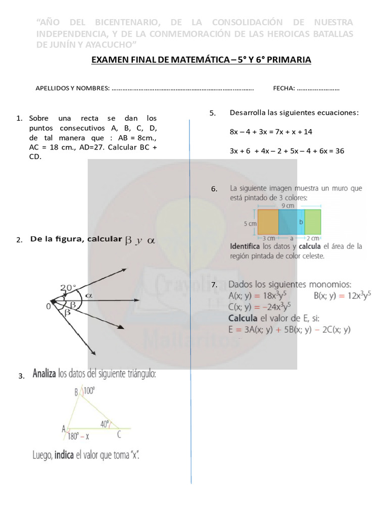 Examen 5 y 6 Final | PDF