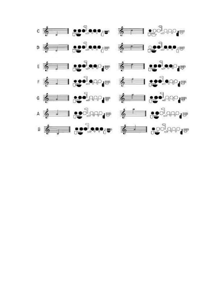 Flute ? | PDF