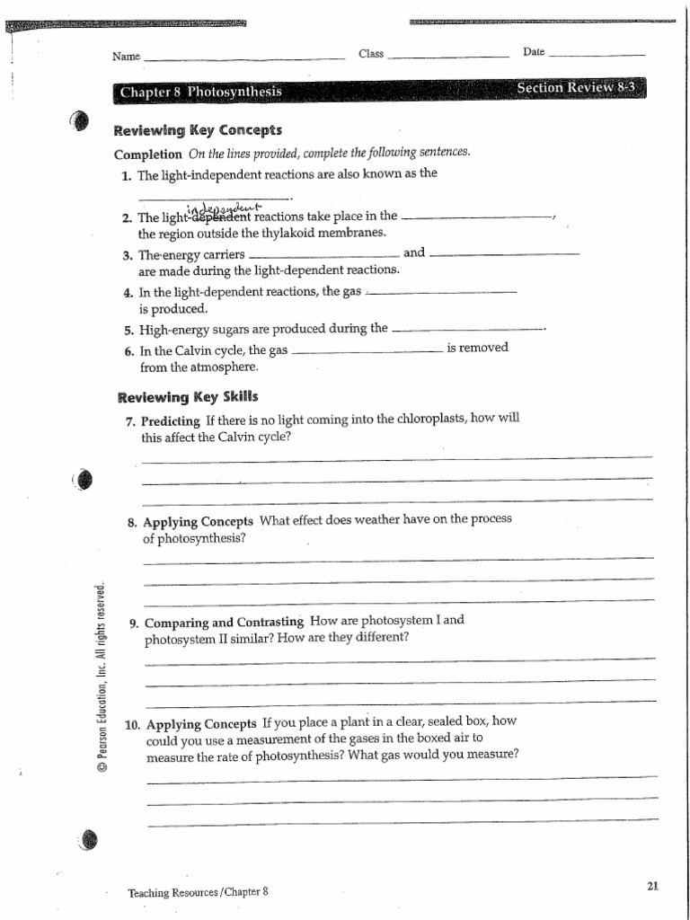 Gant, Isaac - Ch.8-3 Section Review and Graphic Organizer | PDF