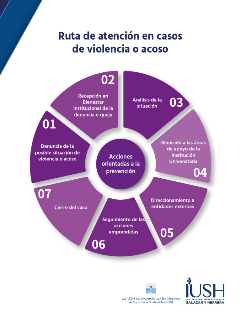 Protocolo de Denuncia por Acoso y Violencia | PDF | Institución | Violencia