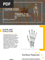 Scaphoid-Trapezium Joint Arthritis Management | PDF | Limbs (Anatomy ...