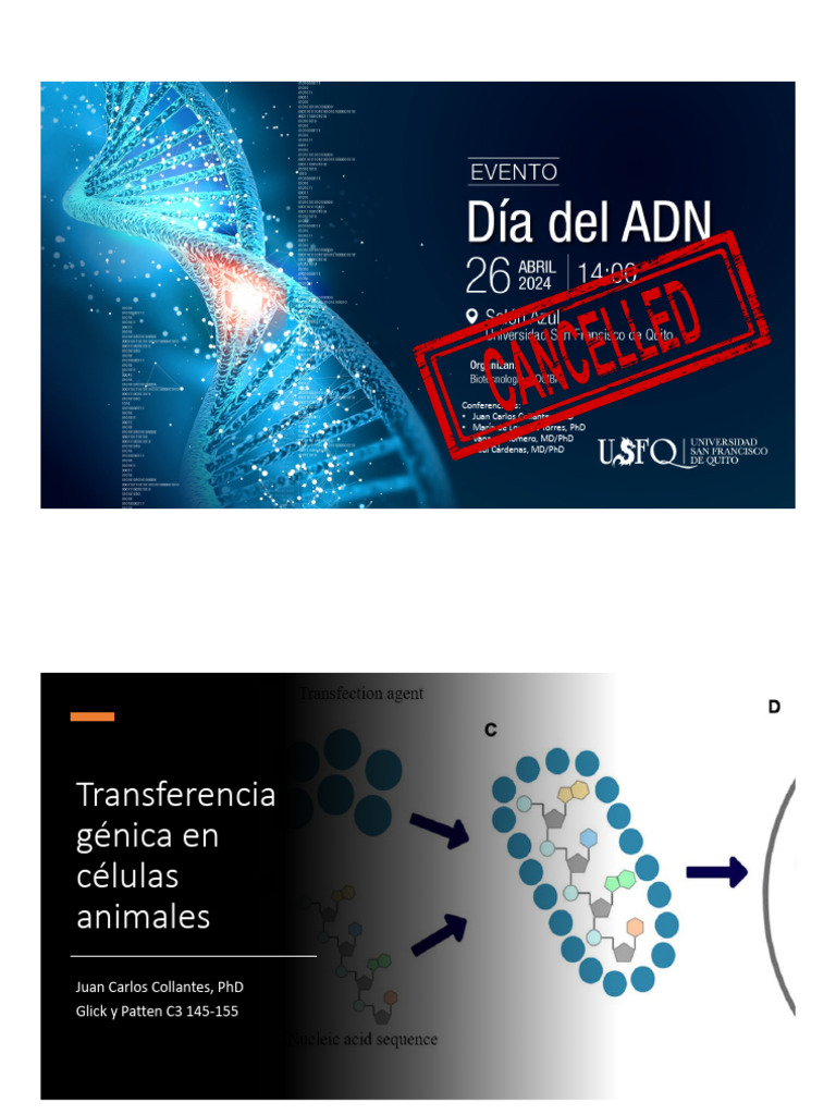 21 Vectores para La Transferencia de ADN A Células Animales - IG202320 ...