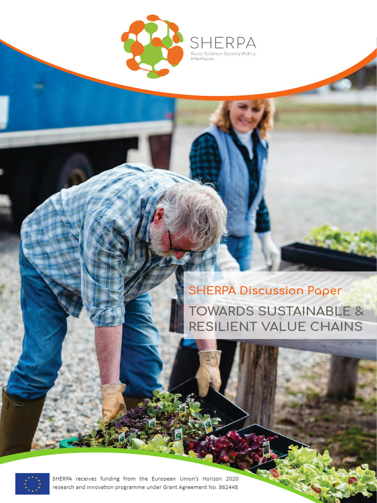 Sustainable Value Chains in Rural Areas | PDF | Sustainability | Supply ...