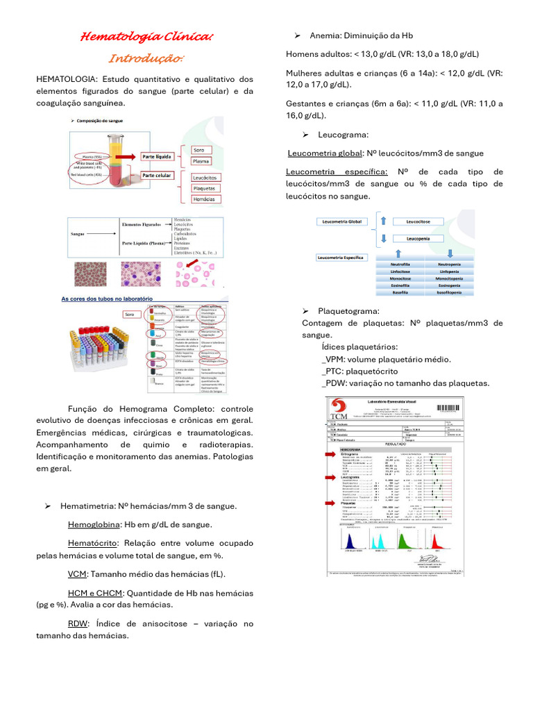 Normocitose e Normocromia em Hemogramas | PDF | Anemia | Sistema ...