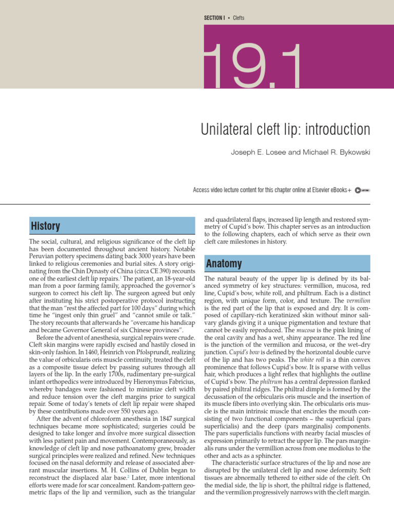 Neligans Cleft Lip Cleft Palate | PDF | Human Nose | Human Anatomy