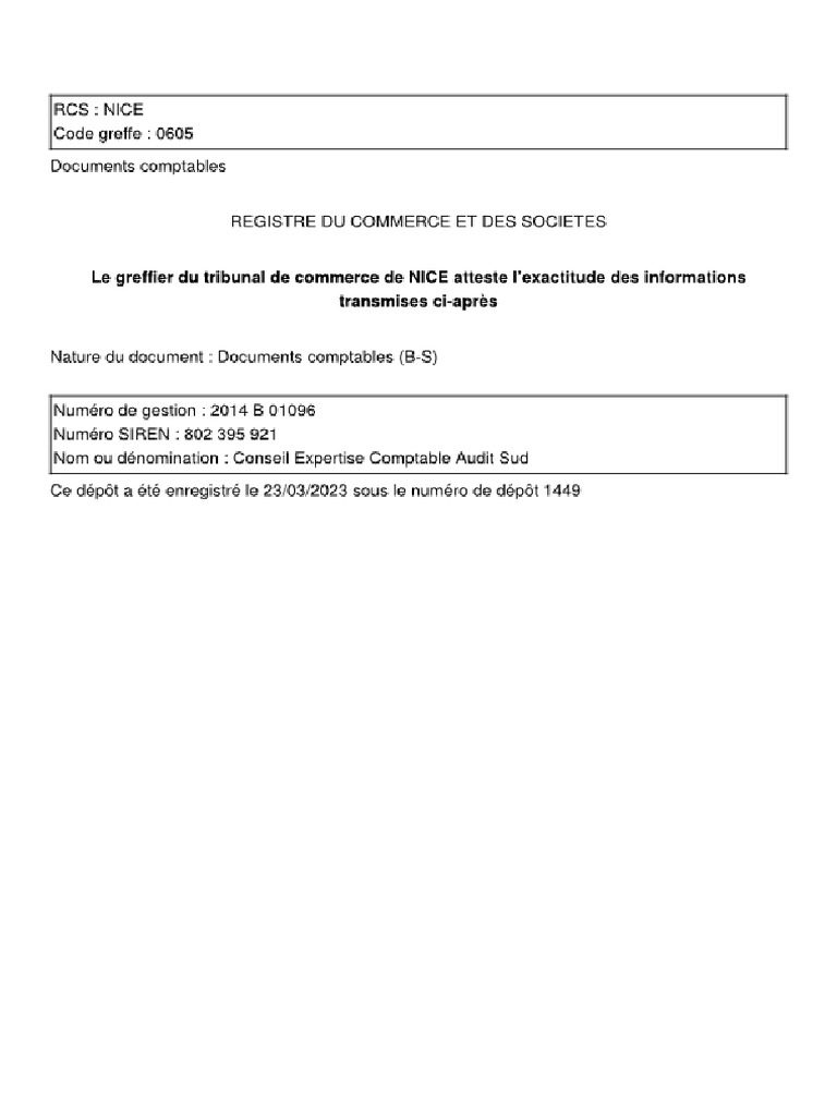 C.E.C.A. SUD CONSEIL EXPERTISE COMPTABLE AUDIT SUD - Comptes Sociaux ...