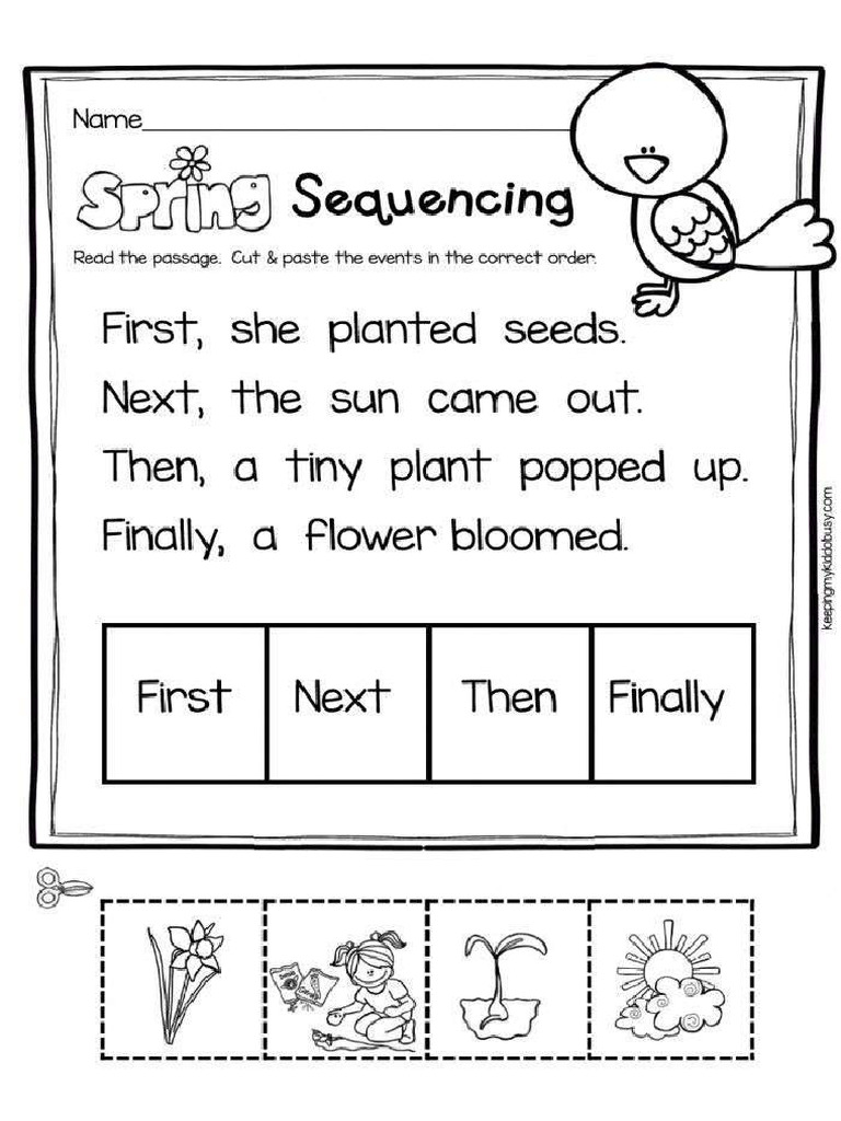 Spring Sequence | PDF