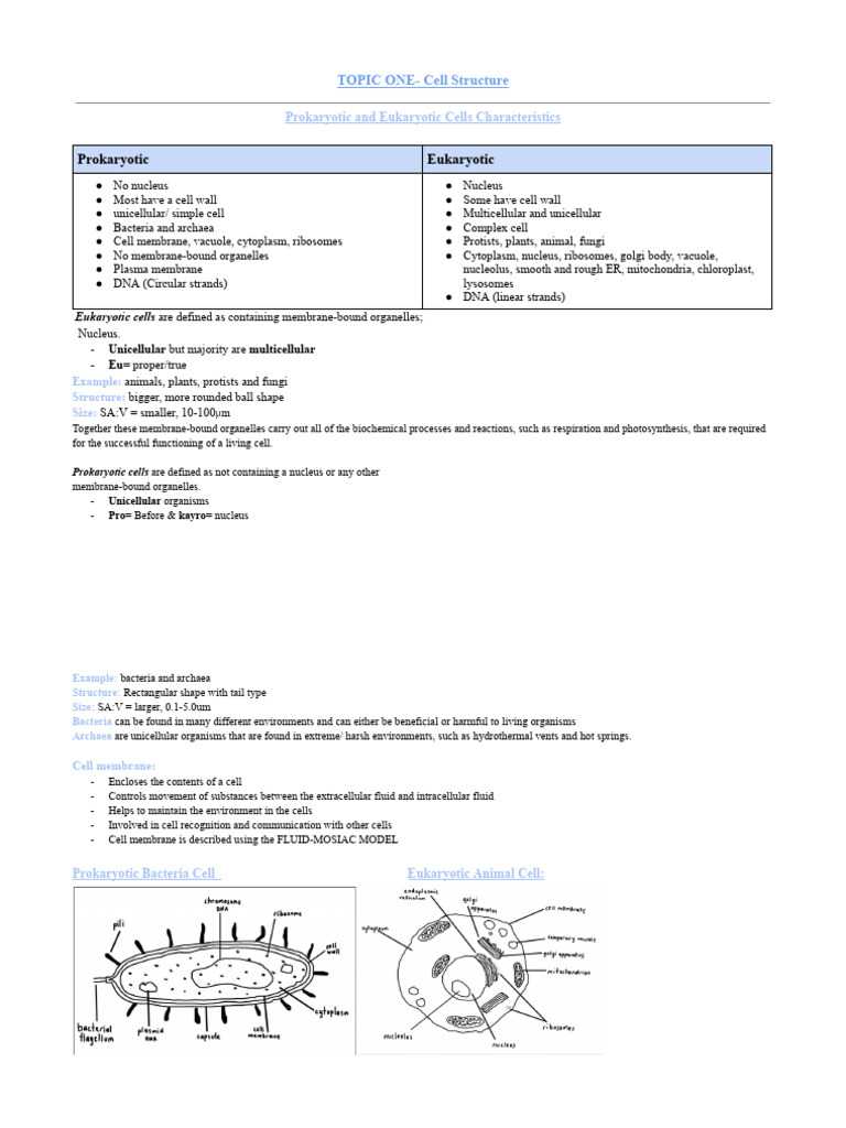 Prokaryotic vs Eukaryotic Cell Structures | PDF | Cell Membrane | Cell ...