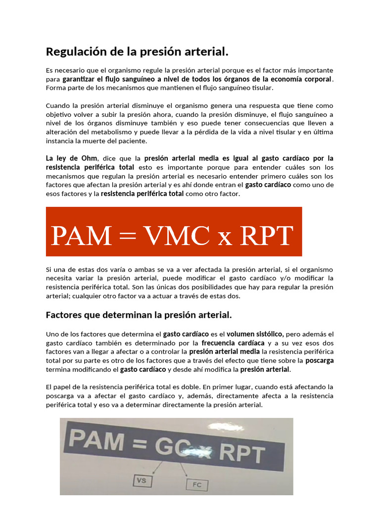 Regulación de la Presión Arterial y Factores Clave | PDF | Angiotensina ...