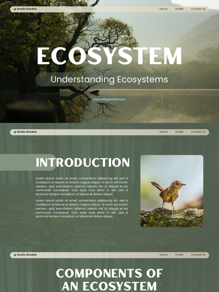 Ecosystem | PDF
