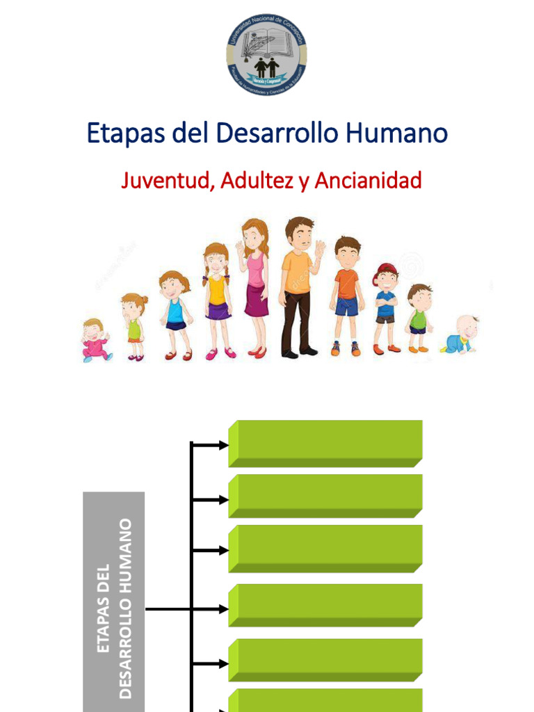 Etapas del Desarrollo Humano | PDF | Adultos | Vejez