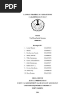 Download LAPORAN PRAKTIKUM FARMAKOLOGI by Septian Sapta Hadi SN84193233 doc pdf