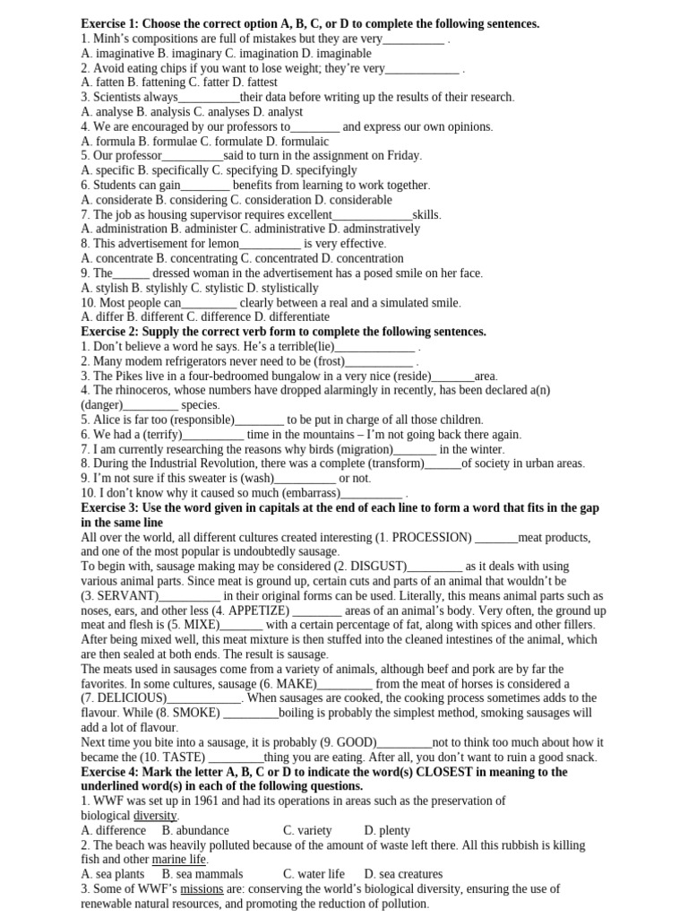 Vocabulary Exercises for English Learners | PDF | Sausage