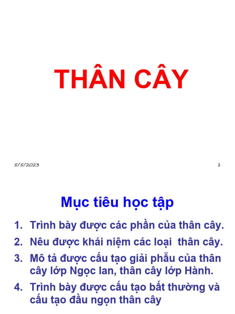 B4. Thân Cây | PDF