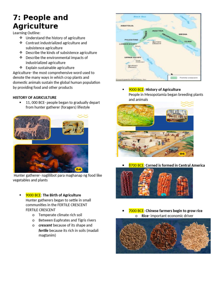 History and Types of Agriculture | PDF | Agriculture | Intensive Farming