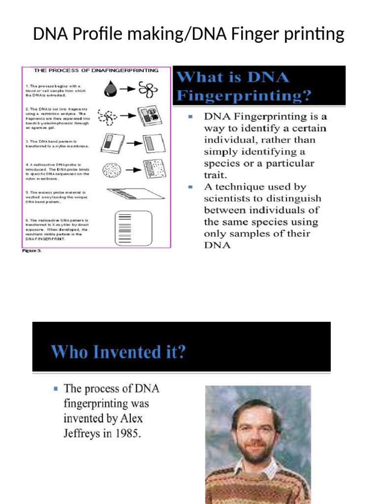 DNA Profile Making | PDF