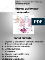 Dezvoltarea Sistemului Respirator