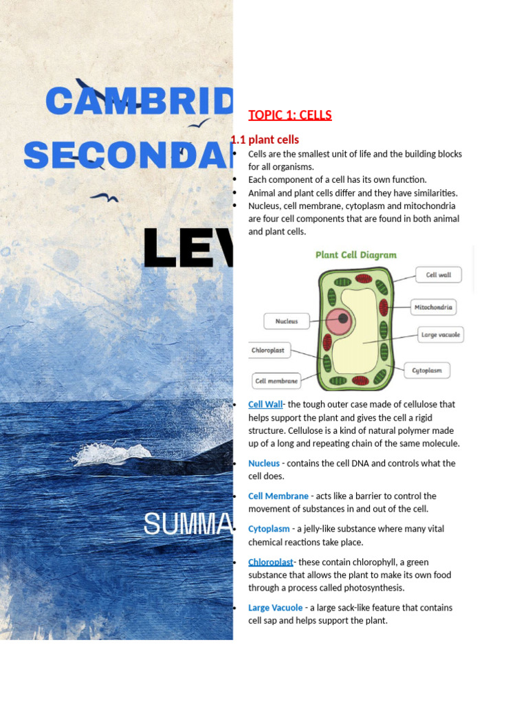 Plant and Animal Cell Structures Explained | PDF | Tide | Liquids