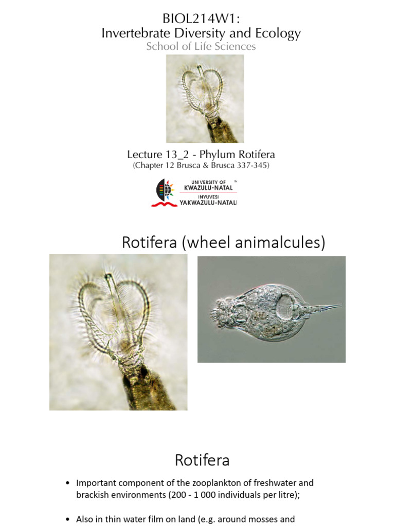 Overview of Phylum Rotifera | PDF | Zoology | Biology