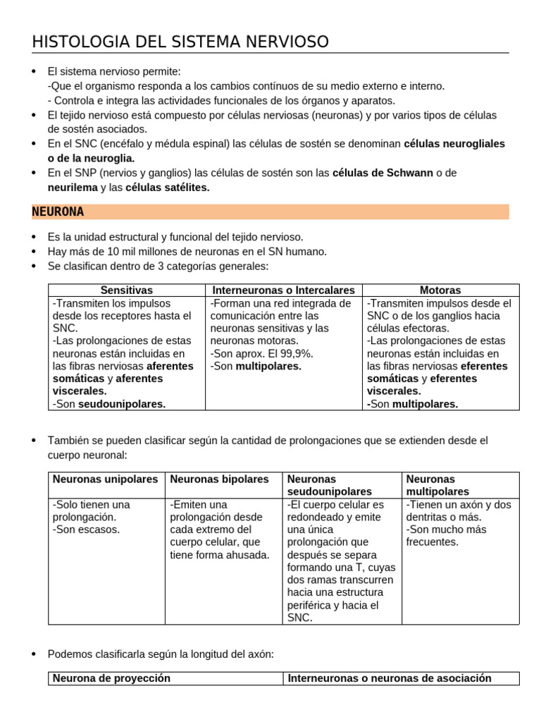 Histología del Sistema Nervioso | PDF | Sinapsis | Neurona