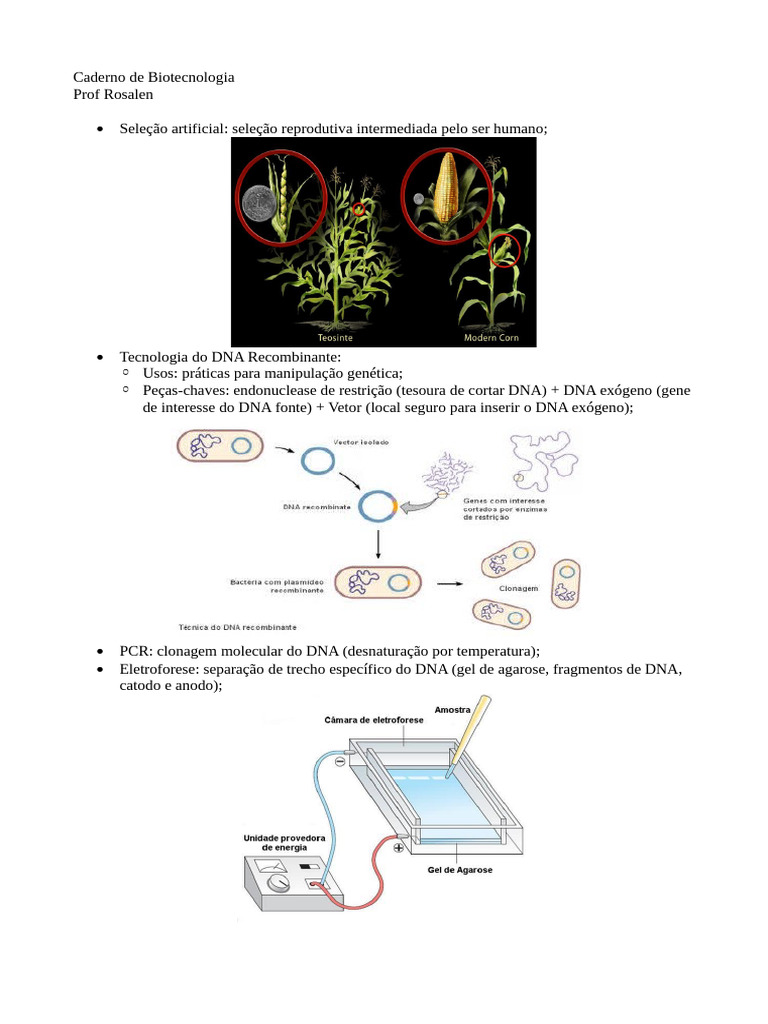 Fundamentos da Biotecnologia Moderna | PDF | Potência celular | Clonagem