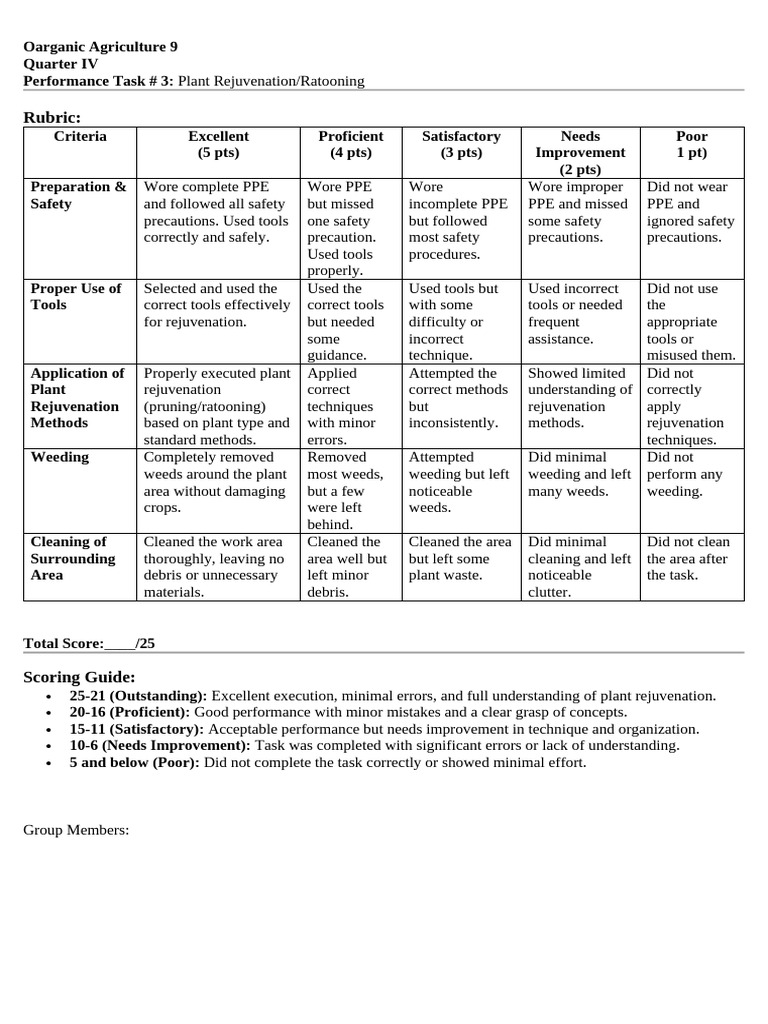 Plant Rejuvenation Task Rubric | PDF | Personal Protective Equipment